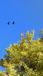 200811301402001.jpg