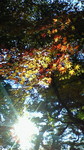 200811301418000.jpg
