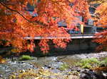 DSCF0637.JPG