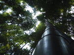 DSCF0746.JPG